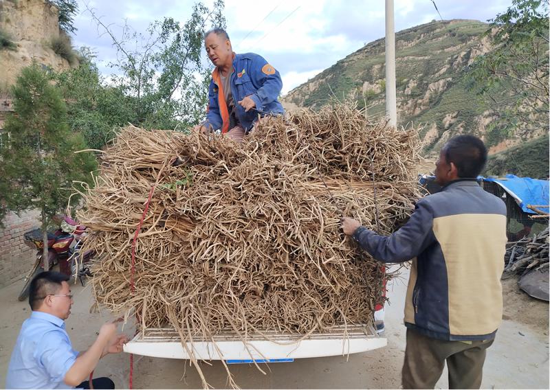 子洲縣級公路維護(hù)監(jiān)理事業(yè)單位最新項目探究與分析