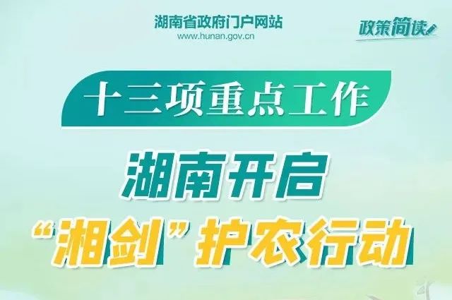 湖塘最新招聘動態與職業機會深度解析