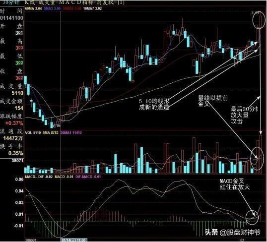 ST長生最新動態(tài)全面解析