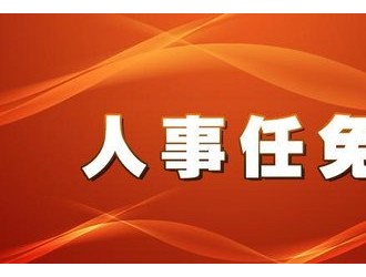 隴南最新人事任免動態更新