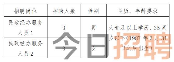 防城港招聘網最新招聘動態深度解析與解讀