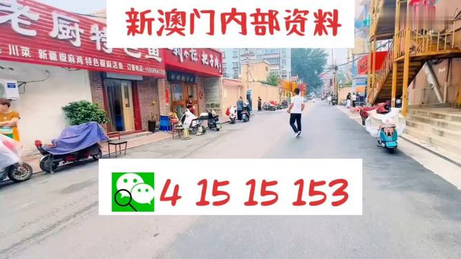 2024澳門天天開好彩大全162｜數(shù)據(jù)解釋說明規(guī)劃