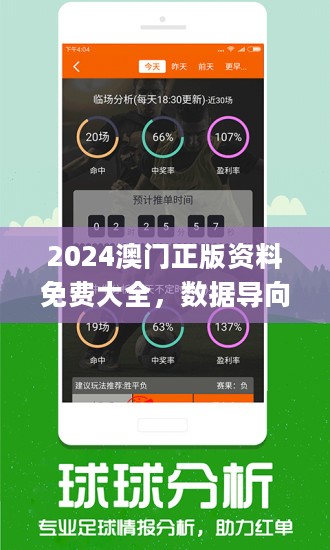 2024澳門正版免費精準資料｜連貫性執行方法評估