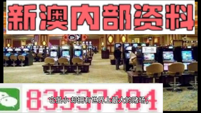 新澳2024正版資料免費公開｜最佳精選解釋落實