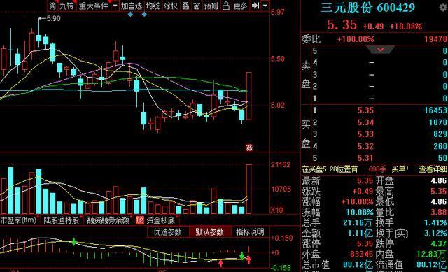 三元股份最新動態(tài)，綜述發(fā)展展望的未來