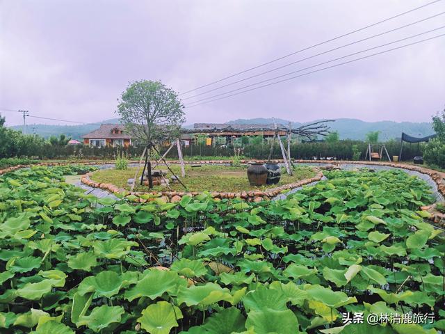 無冬鎮最新動態，發展與變革的歷程回顧與前瞻