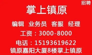 海口最新雙休招聘動態與職業機會深度探討