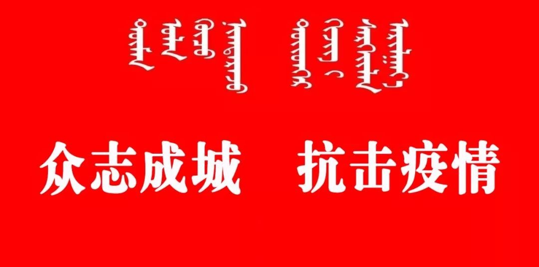 察哈爾右翼后旗數據和政務服務局最新領導,察哈爾右翼后旗政務服務局最新領導團隊數據及其政務工作概覽