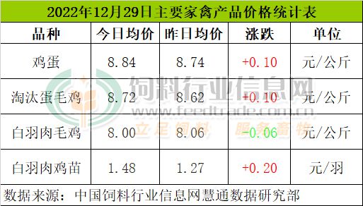 今日白羽雞最新價格深度解析及市場走勢探討