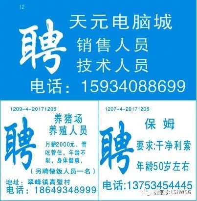 慧網(wǎng)最新招聘啟事，集結(jié)科技精英，共筑未來夢(mèng)想之旅