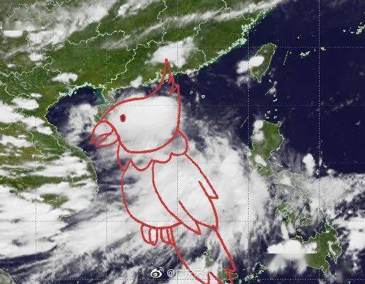 廣東鸚鵡臺風最新動態，影響分析、應對措施及實時報道