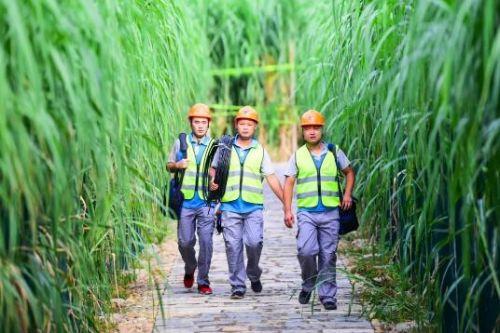 松溪縣科學(xué)技術(shù)和工業(yè)信息化局最新動態(tài)新聞發(fā)布。