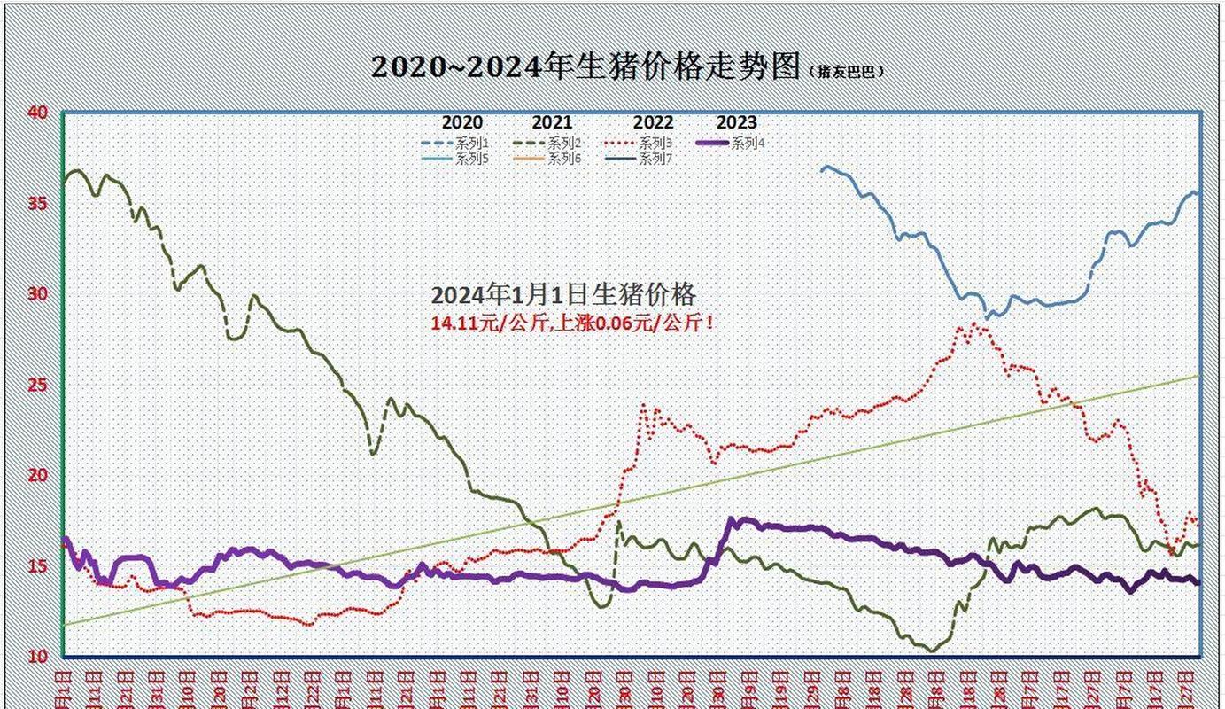 云南最新今日生豬價格分析與展望，深度解析及未來趨勢預測