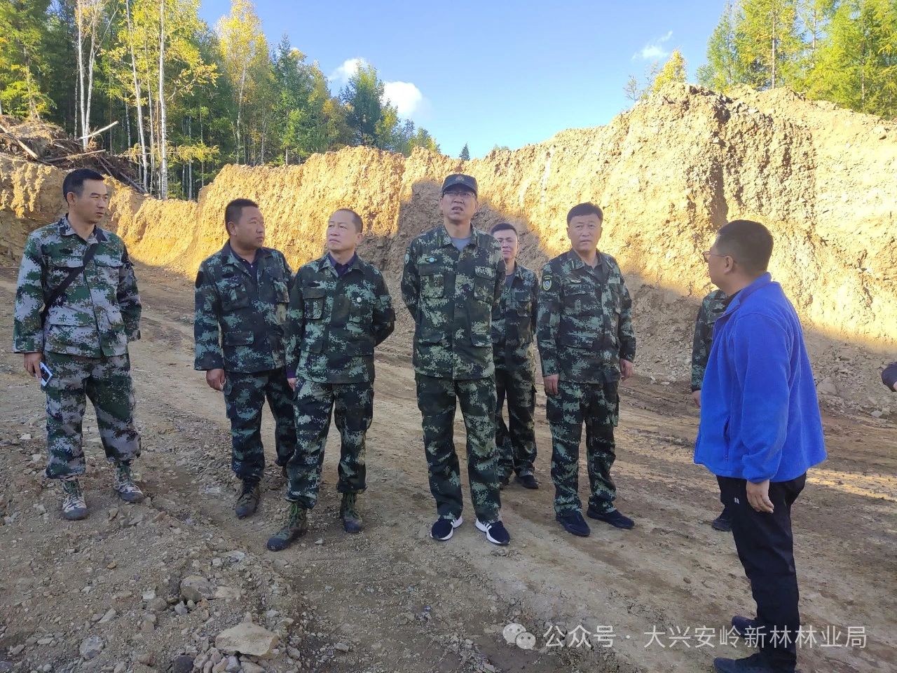 大興安嶺林管局伊圖里河林業局最新項目的進展及其影響概述