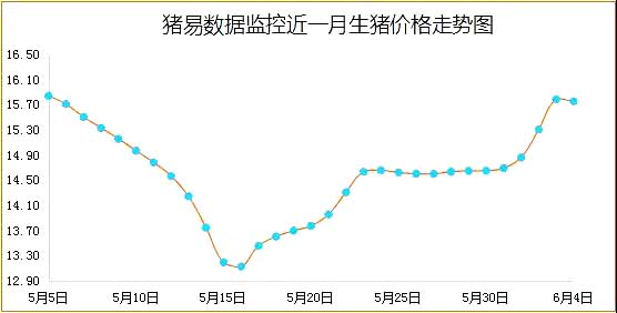 最新豬價(jià)走勢(shì)解析，趨勢(shì)分析與預(yù)測(cè)