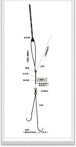 鏈魚最新釣組探索，革新釣魚技術