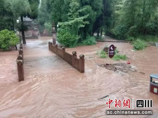 雅安特大暴雨最新情況報告更新，暴雨持續影響及應對進展