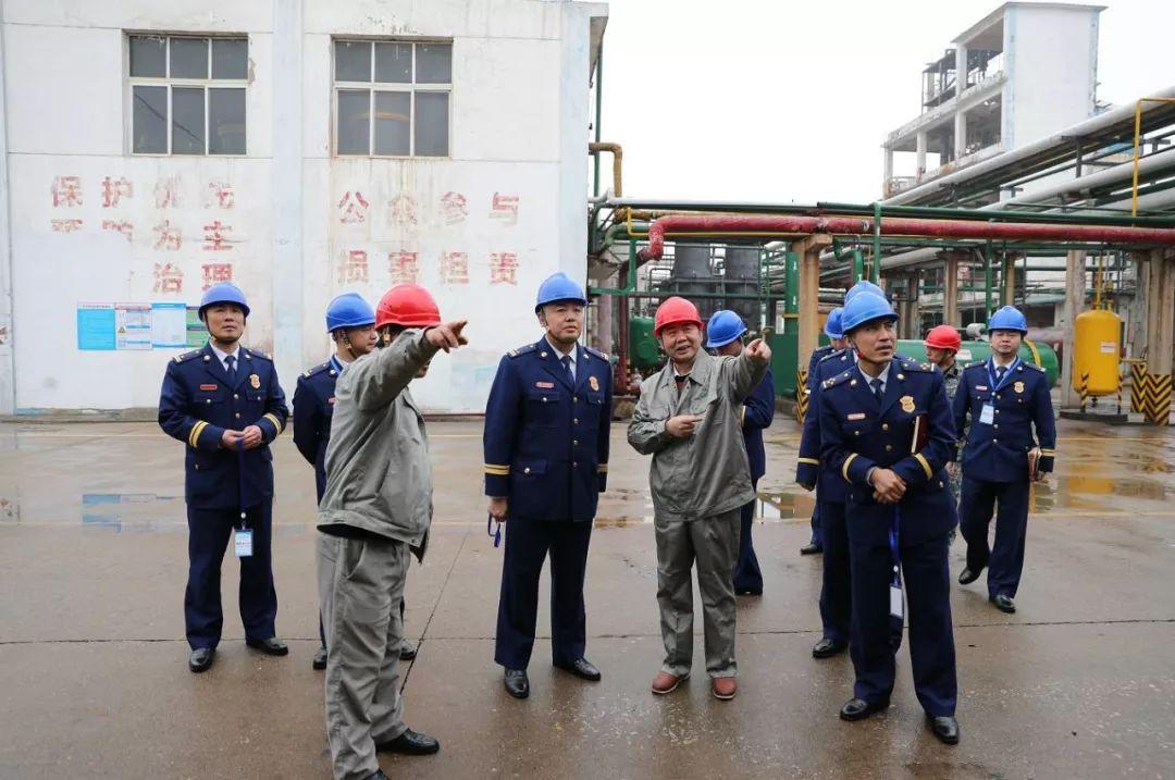 陳家港鎮最新發展動態概覽