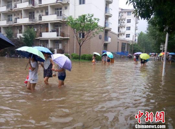 新鄉暴雨最新動態，城市與民眾的堅韌抗擊