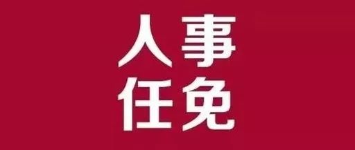 鄄城縣審計局最新人事任命,鄄城縣審計局最新人事任命，推動審計事業發展的新篇章