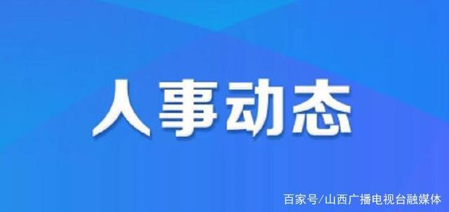 越城區人力資源和社會保障局人事大調整，構建更高效公正的人力資源服務體系