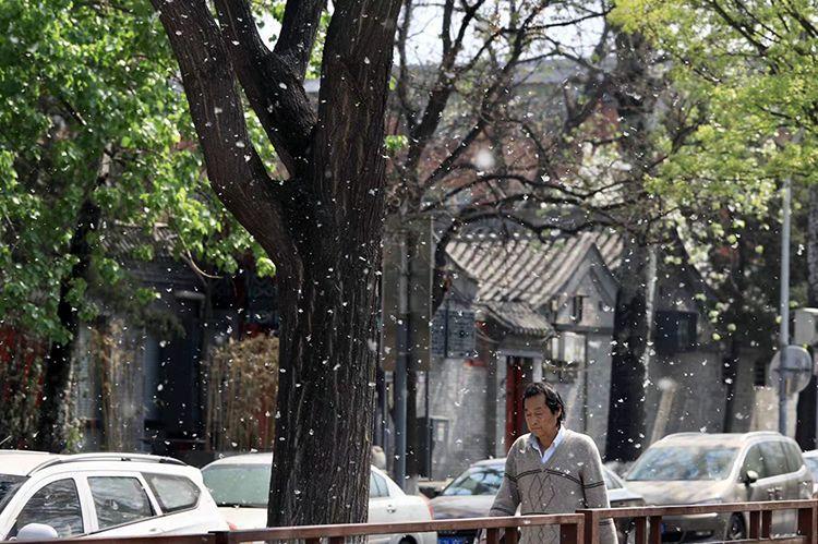 南街鎮(zhèn)最新天氣預(yù)報概覽