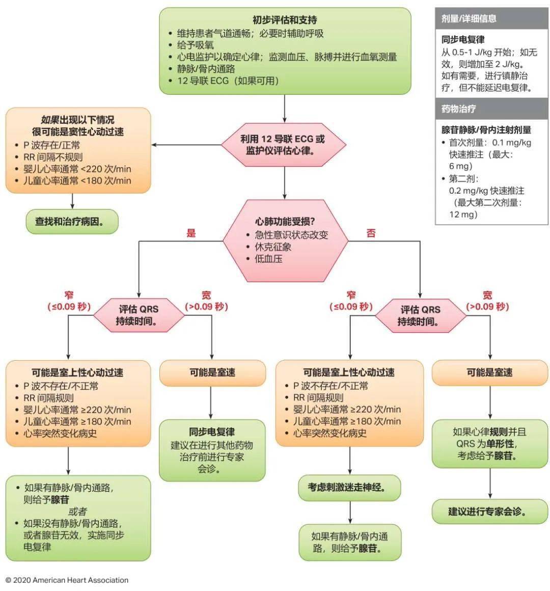 最新版心肺復(fù)蘇，拯救生命的最新指南與操作教程