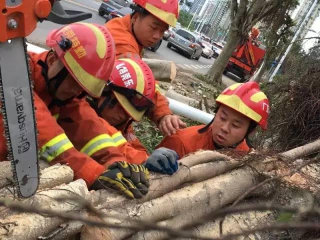 臺風(fēng)天鴿逼近，警惕防范，最新動(dòng)態(tài)與消息更新