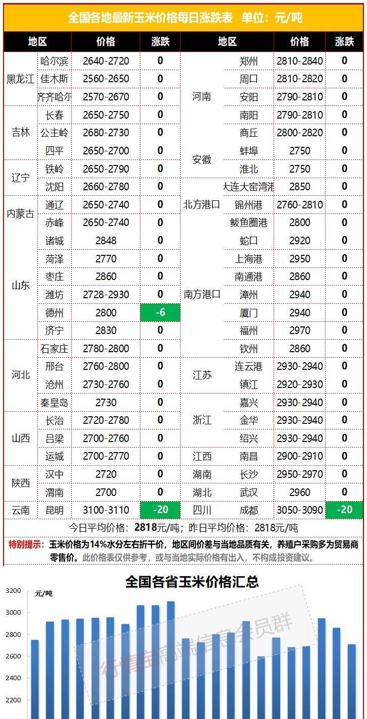 玉米粒價格最新行情及分析概覽