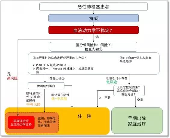 肺栓塞最新指南，關鍵步驟了解、預防與應對肺栓塞