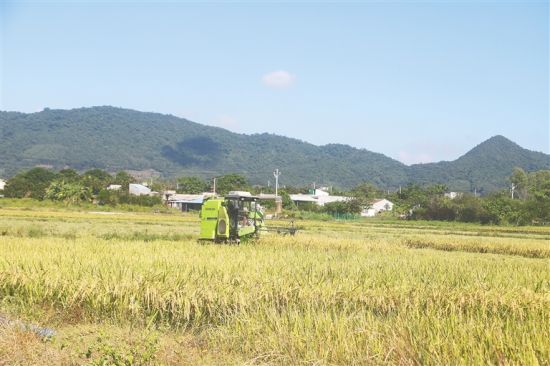 瓦房里村委會(huì)最新動(dòng)態(tài)報(bào)道