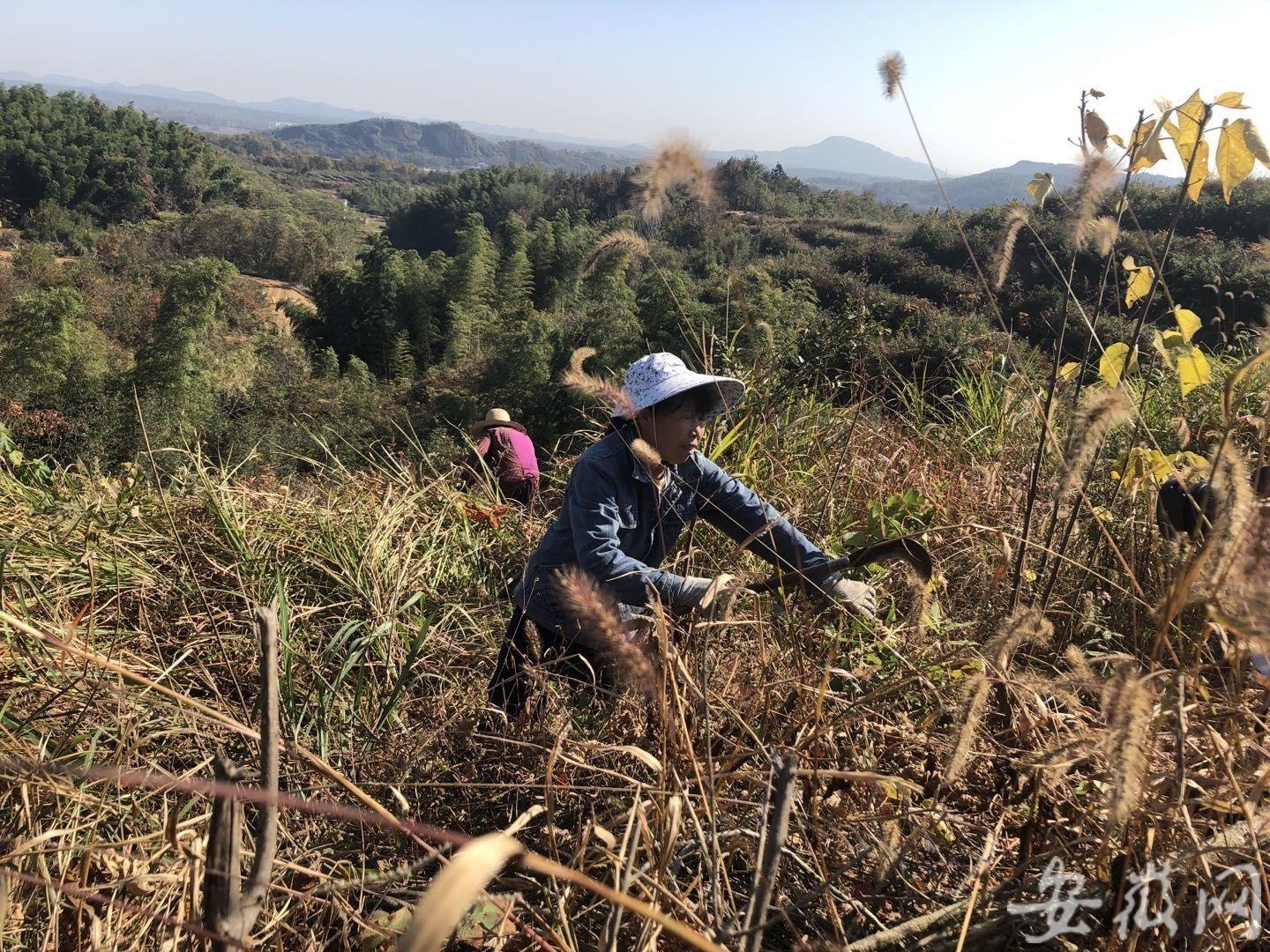 霍邱縣市場監督管理局最新戰略規劃與發展布局