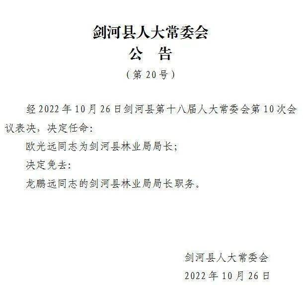 鳥河鄉最新人事任命，引領未來發展的新篇章開啟